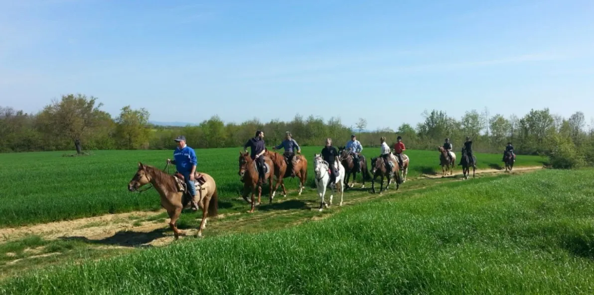 Passeggiata a cavallo sulle colline del Monferrato