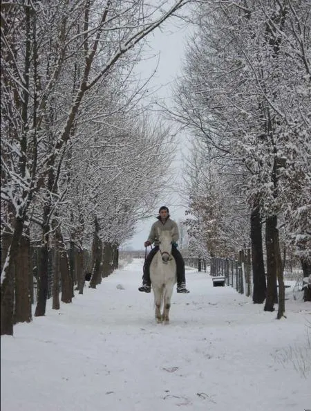 Passeggiata a cavallo a San Giorgio della Richinvelda