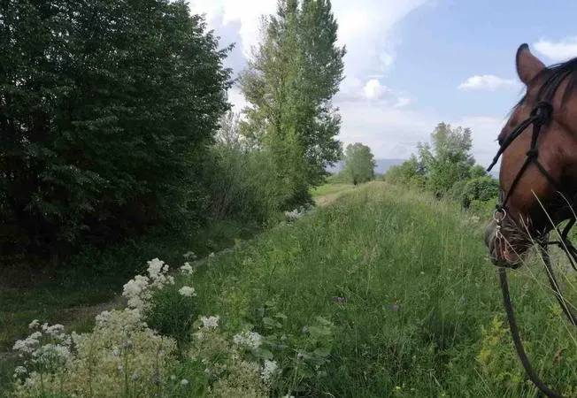 Passeggiata a cavallo a San Giorgio della Richinvelda