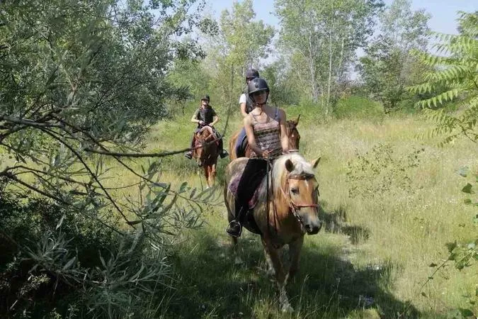 Passeggiata a cavallo a San Giorgio della Richinvelda