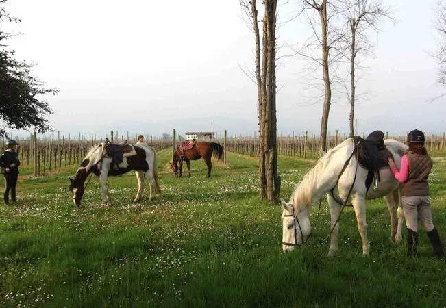 Passeggiata a cavallo a San Giorgio della Richinvelda