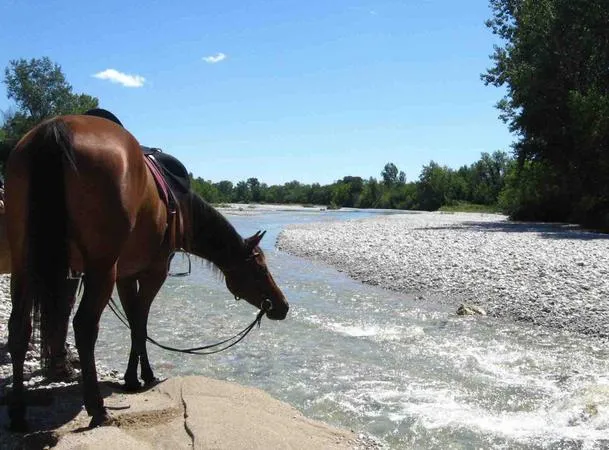Passeggiata a cavallo a San Giorgio della Richinvelda