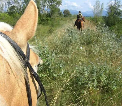 Passeggiata a cavallo a San Giorgio della Richinvelda