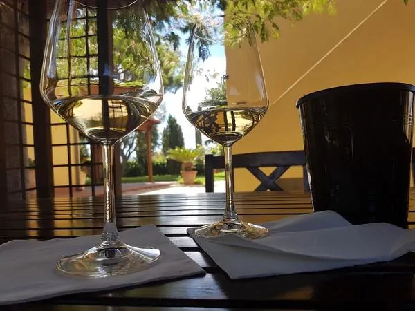 Degustazione vini e visita alla cantina Terre del Marchesato a Bolgheri