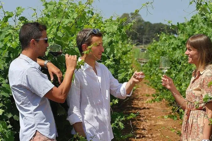 Degustazione vini e visita alla cantina Terre del Marchesato a Bolgheri