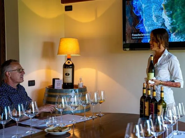 Degustazione vini e visita alla cantina Terre del Marchesato a Bolgheri