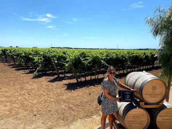 Degustazione vini e visita alla cantina Terre del Marchesato a Bolgheri