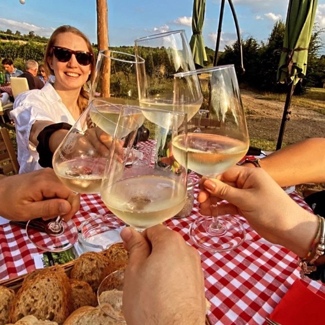 Degustazione e passeggiata in vigna nell'Oltrepò Pavese