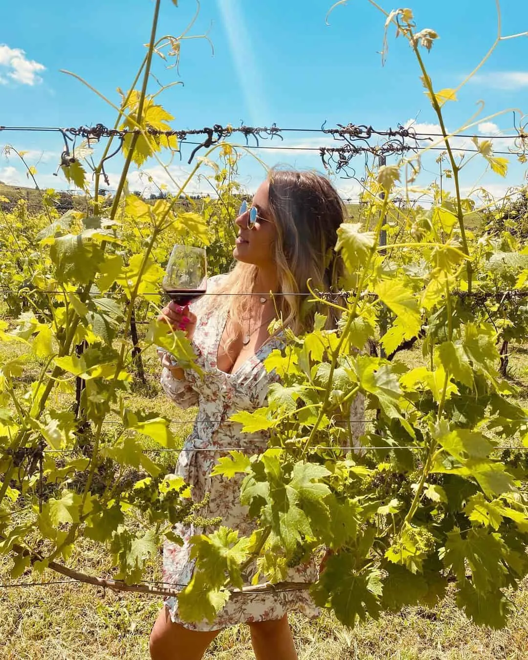 Degustazione e passeggiata in vigna nell'Oltrepò Pavese