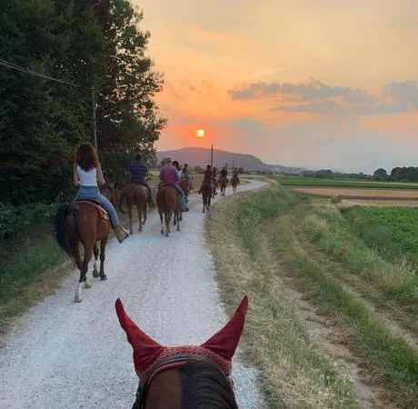 Passeggiata a cavallo tra Vicenza e Padova