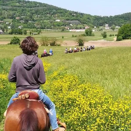 Passeggiata a cavallo tra Vicenza e Padova
