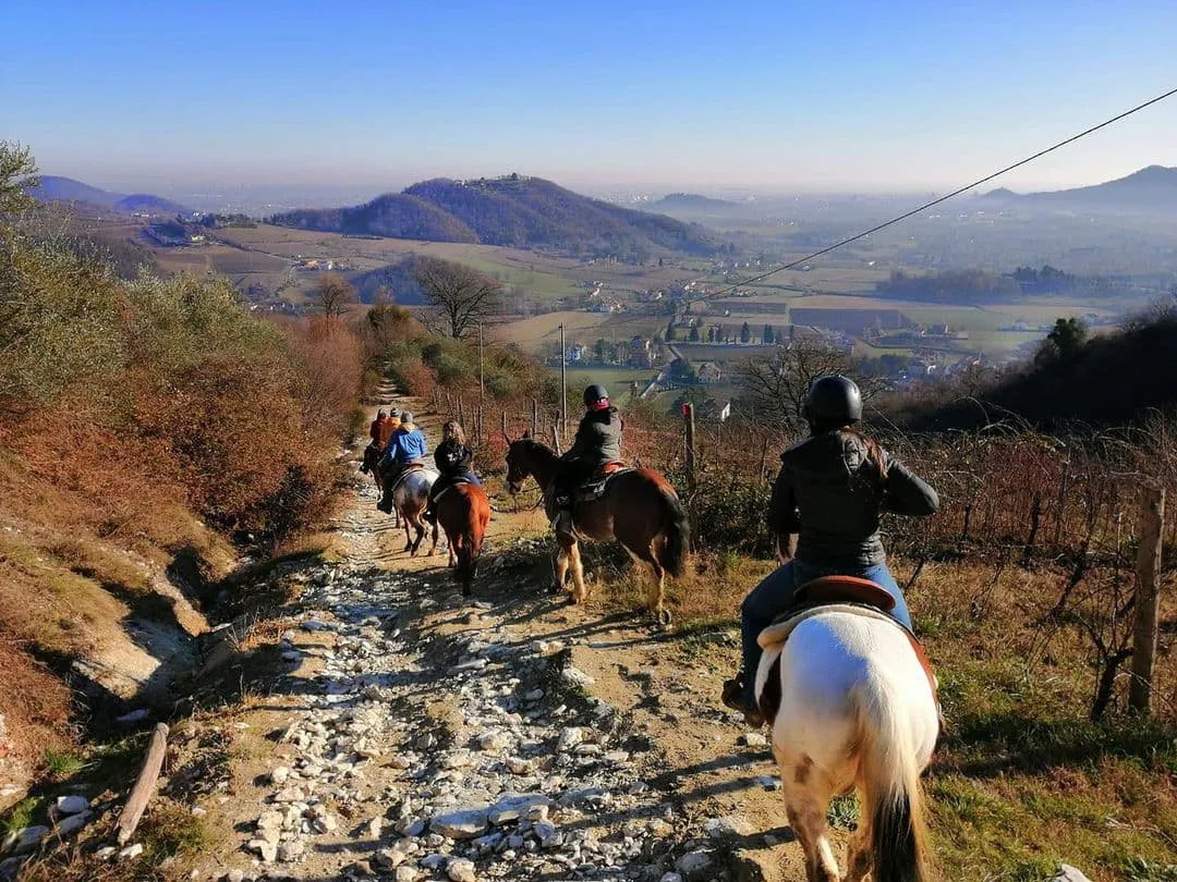 Passeggiata a cavallo tra Vicenza e Padova