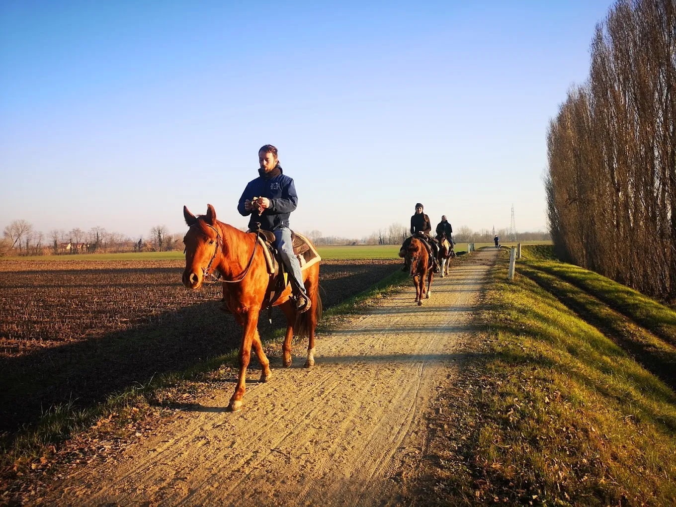 Passeggiata a cavallo tra Vicenza e Padova