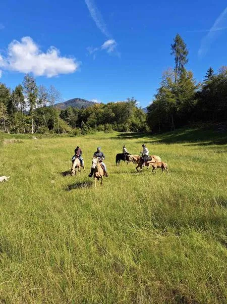 Passeggiata a cavallo ad Arsiè