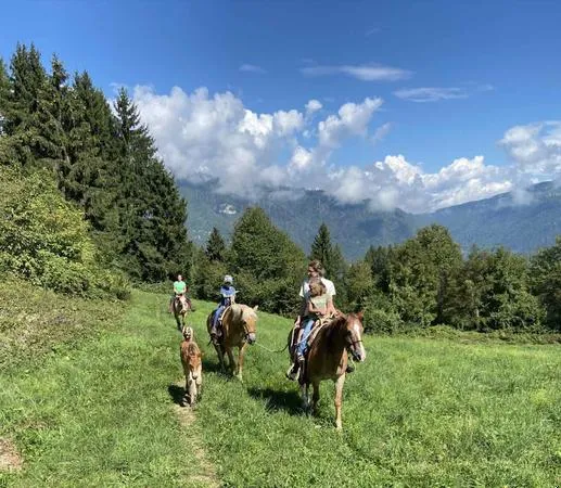 Passeggiata a cavallo ad Arsiè