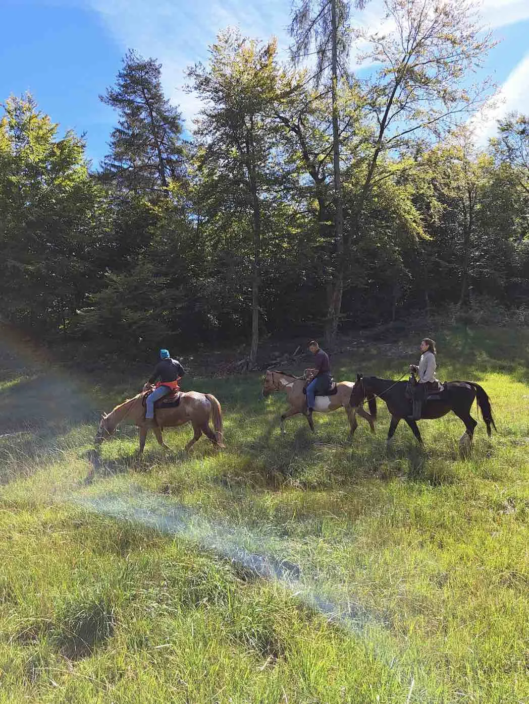 Passeggiata a cavallo ad Arsiè