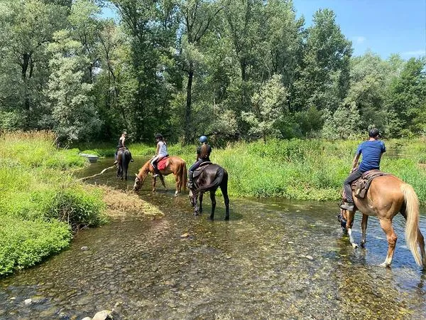 Passeggiata a cavallo nel Parco Lombardo del Ticino