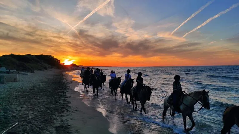Passeggiata a cavallo a Fasano