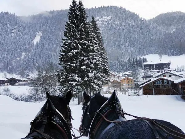 Giro in slitta o carrozza in Val di Zoldo