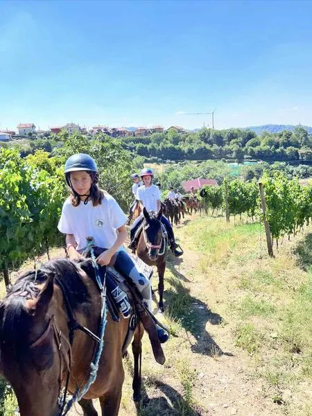 Passeggiata a cavallo sui colli di Bergamo