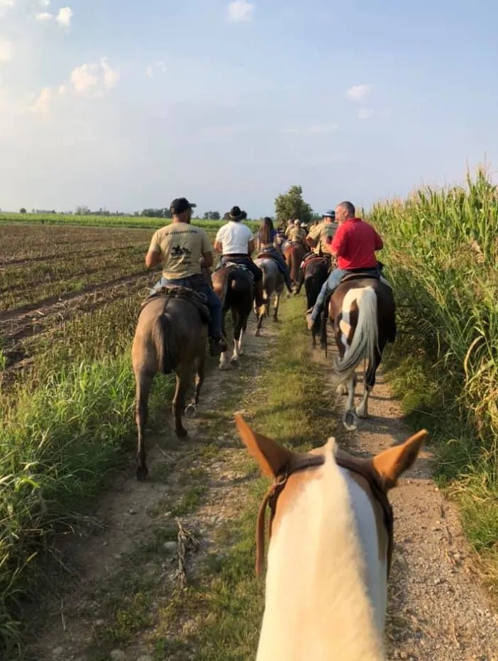 Passeggiata a cavallo sui colli di Bergamo