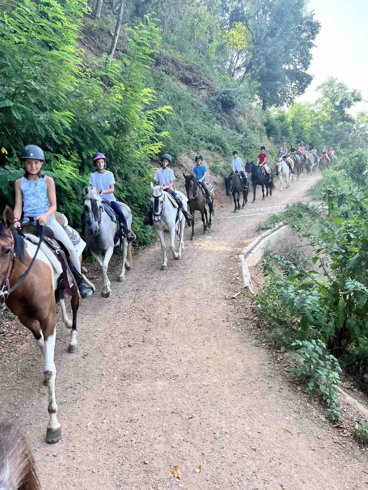 Passeggiata a cavallo sui colli di Bergamo