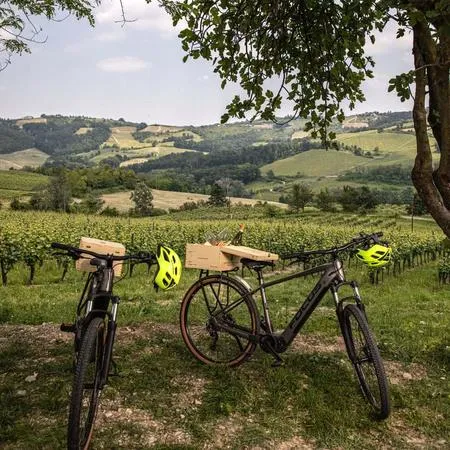 Giro in e-bike e aperitivo nell'Oltrepò Pavese