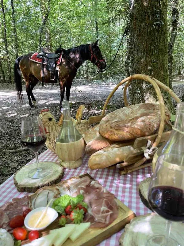 Passeggiata a cavallo e picnic sulle Colline delle Cerbaie