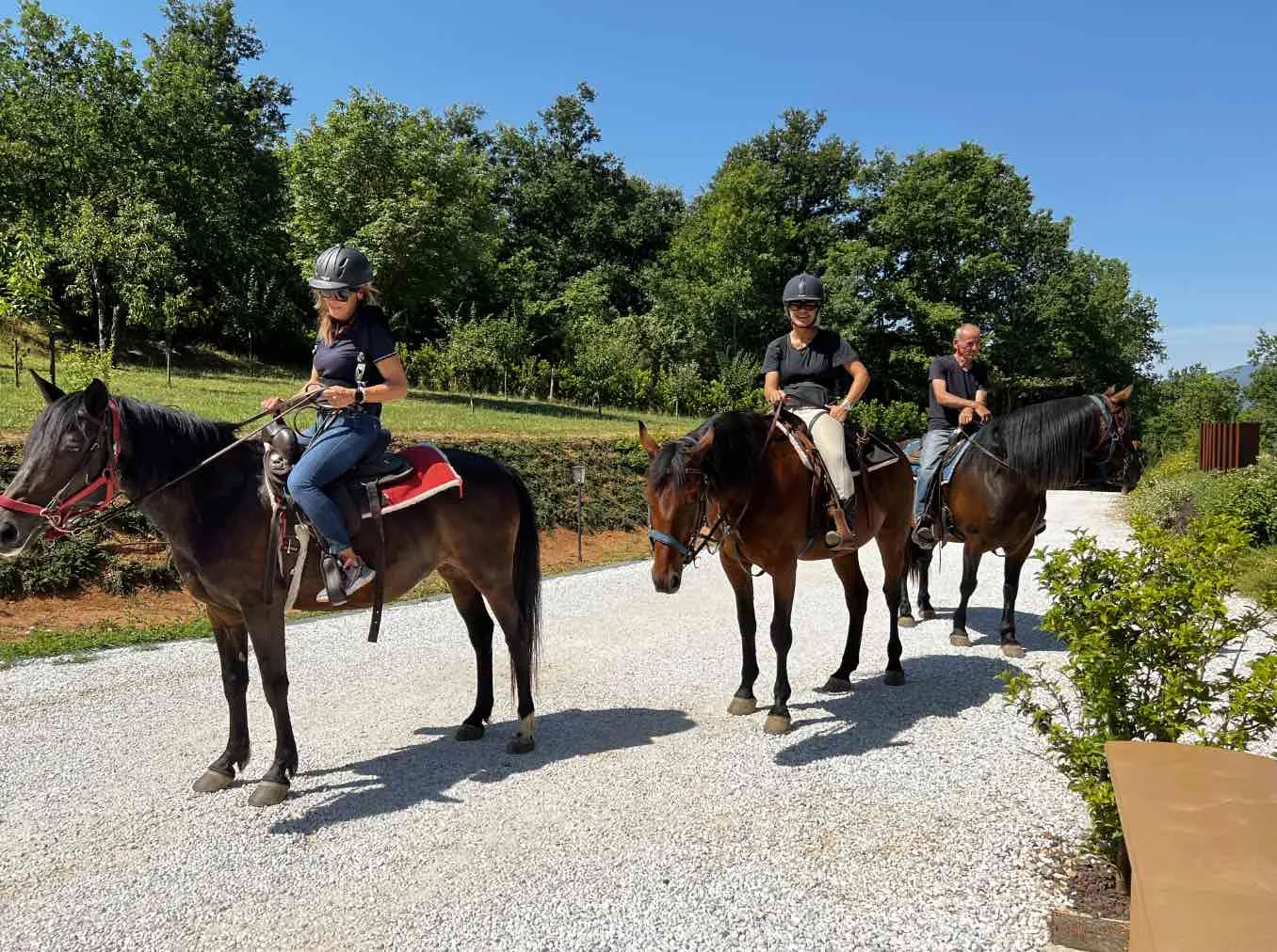 Passeggiata a cavallo e picnic sulle Colline delle Cerbaie
