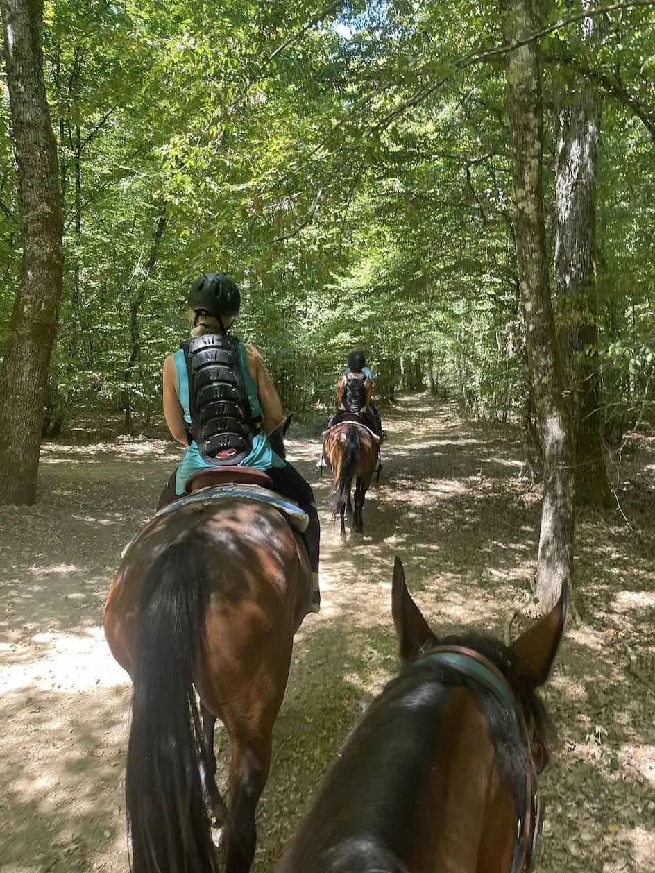 Passeggiata a cavallo e picnic sulle Colline delle Cerbaie
