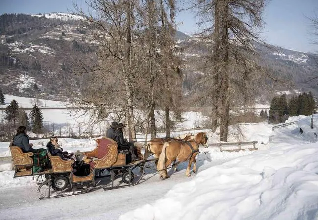 Slitta con cavalli sulla neve in Val di Sole