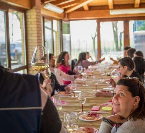Tour dei vigneti e degustazione a Castelvetro di Modena