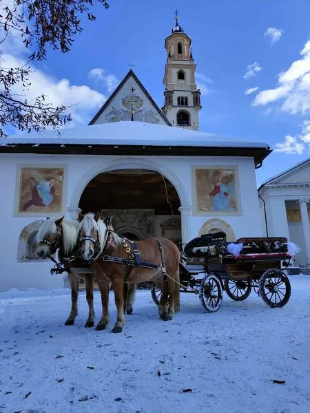 Giro in carrozza a Cavalese in Val di Fiemme