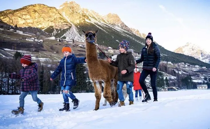 Passeggiata con alpaca a Valdidentro tra Livigno e Bormio