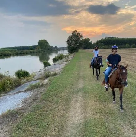 Passeggiata a cavallo fuori Mantova