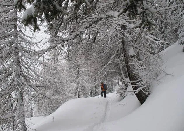 Ciaspolata a Bormio con guida