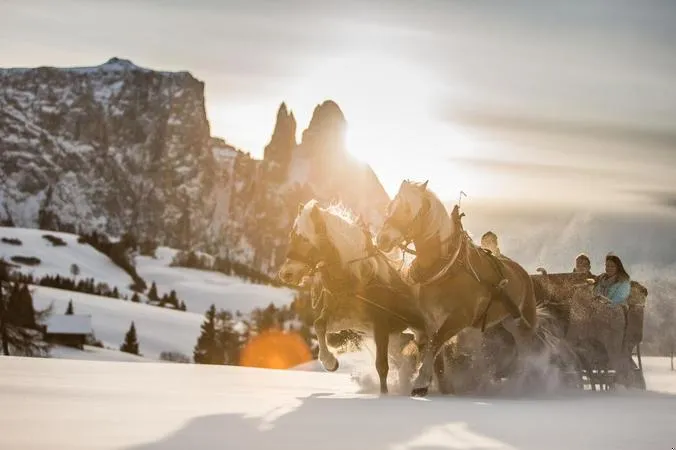 Gita in slitta trainata da cavalli all'Alpe di Siusi