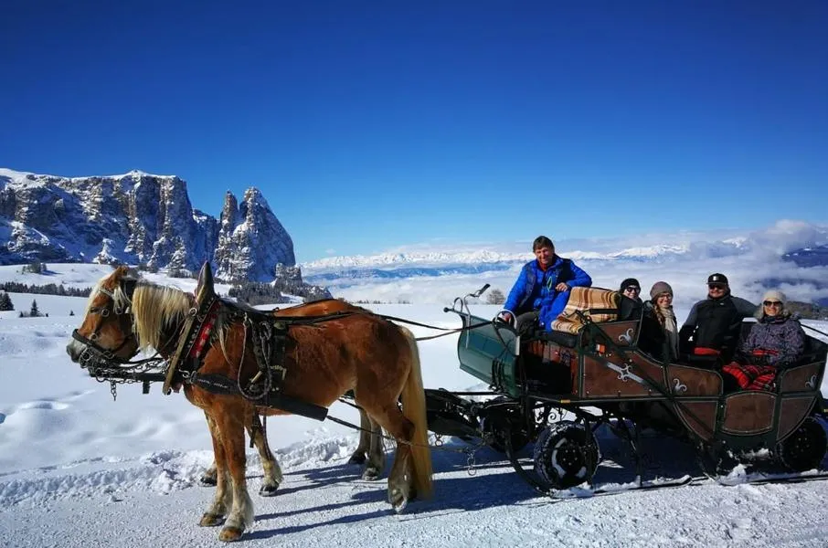 Gita in slitta trainata da cavalli all'Alpe di Siusi