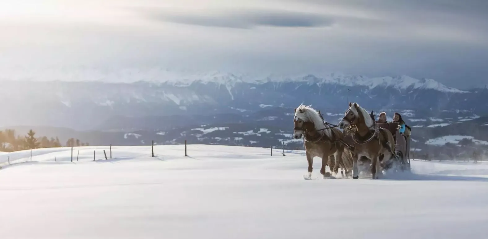 Gita in slitta trainata da cavalli all'Alpe di Siusi