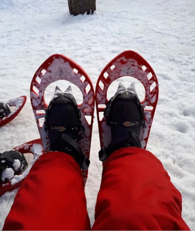 Escursione in ciaspole a Sestriere con guida