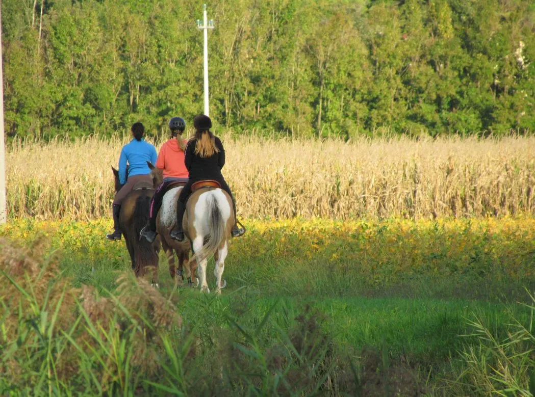 Passeggiata a cavallo in riva al mare a Caorle