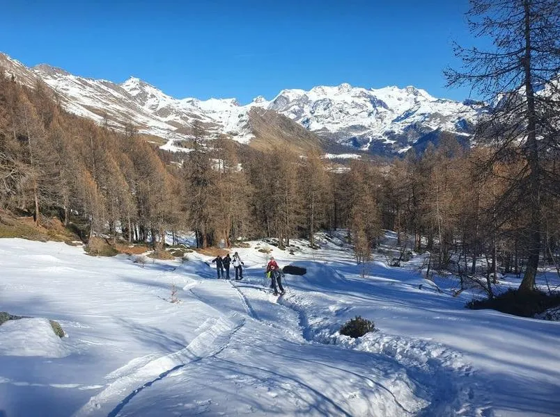 Gita in Ciaspole a Champoluc