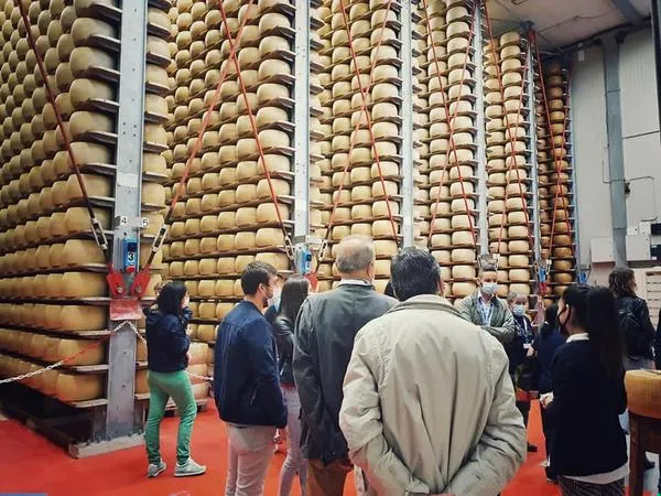 Degustazione di Parmigiano Reggiano con visita del caseificio