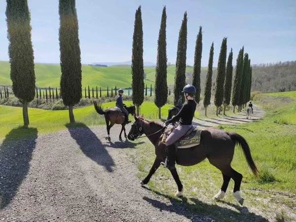Passeggiata a cavallo a Buonconvento nelle Crete Senesi