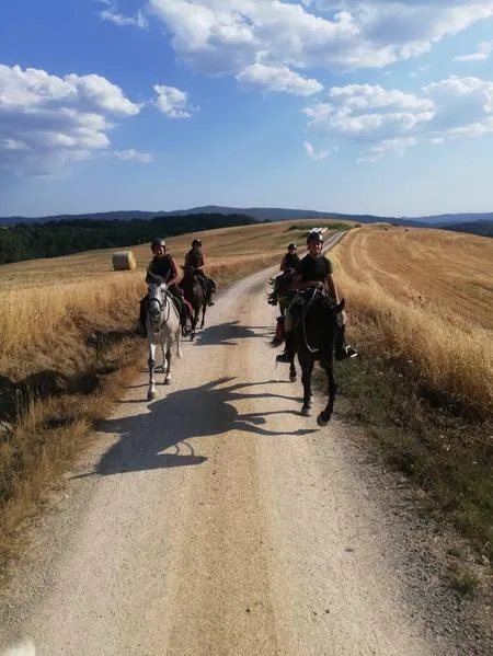 Passeggiata a cavallo a Buonconvento nelle Crete Senesi