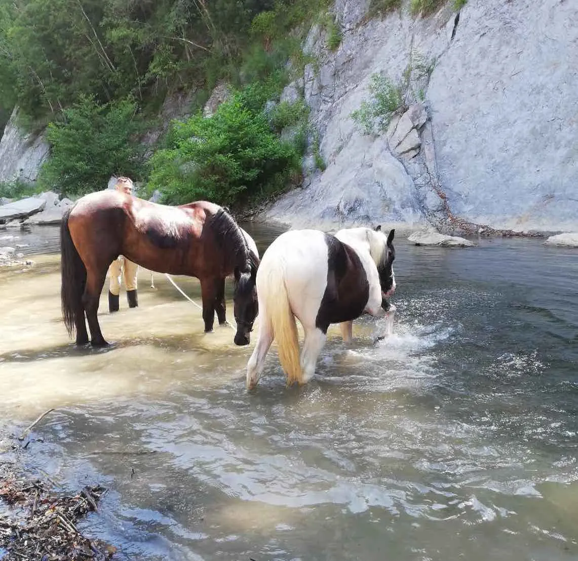 Passeggiata a cavallo a Buonconvento nelle Crete Senesi