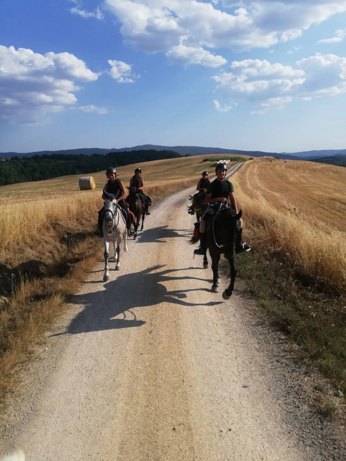 Passeggiata a cavallo a Buonconvento nelle Crete Senesi