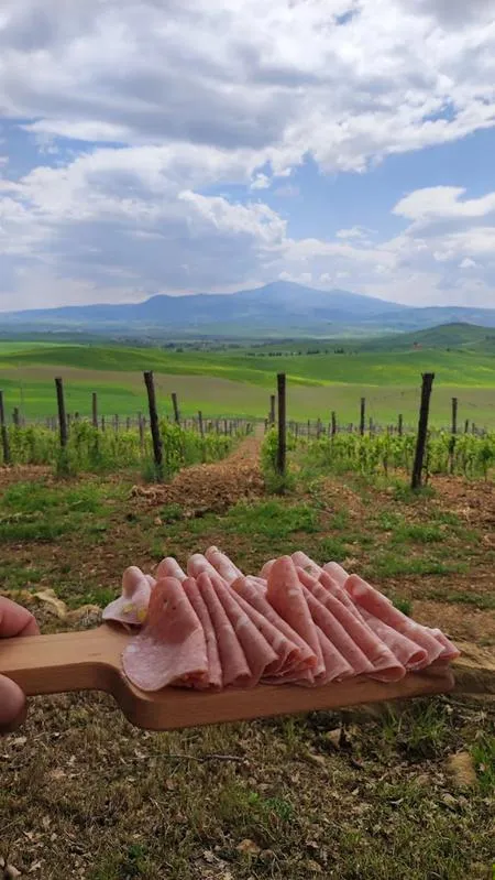 Giro in e-bike a Montepulciano