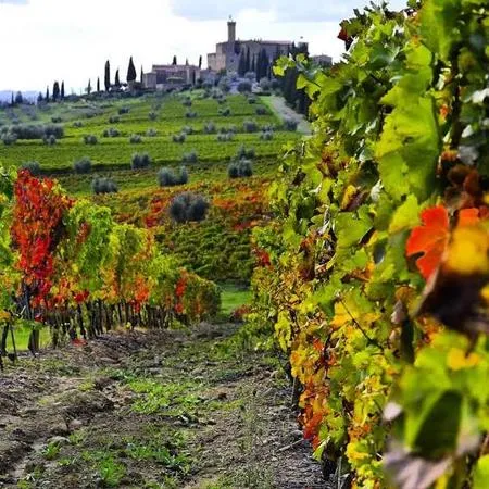 Giro in e-bike al tramonto e aperitivo in Val d'Orcia​