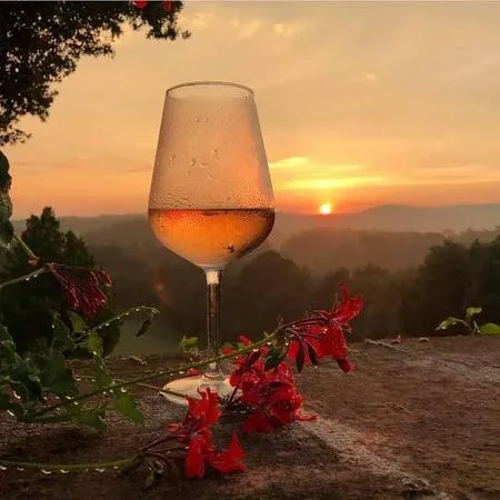 Giro in e-bike al tramonto e aperitivo in Val d'Orcia